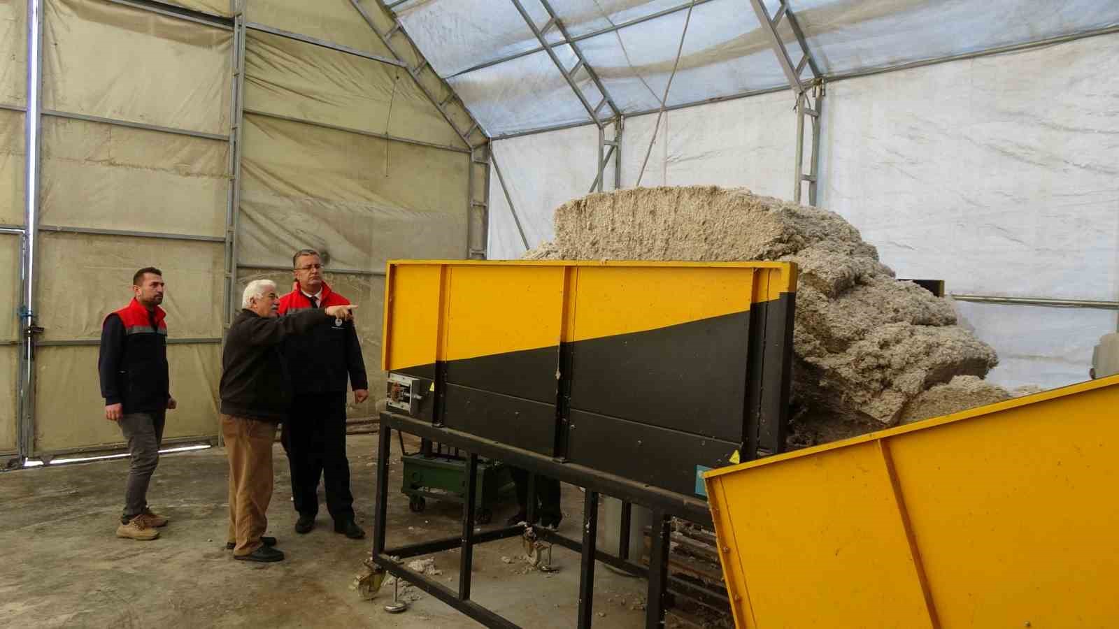 carsambada-istiridye-mantari-uretimi-artiyor