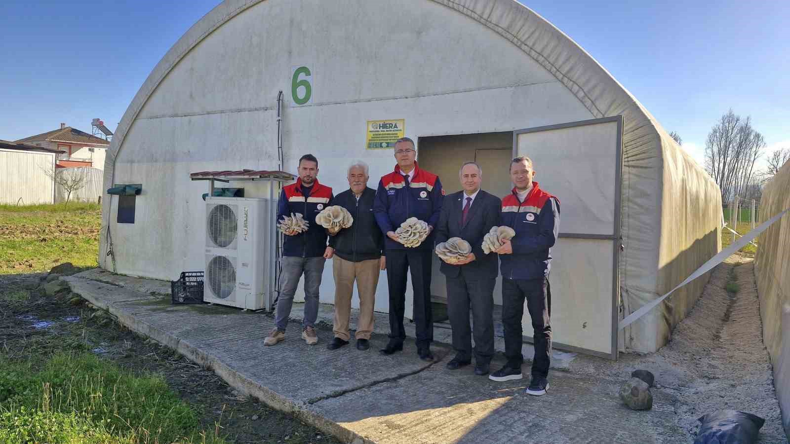 carsambada-istiridye-mantari-uretimi-artiyor