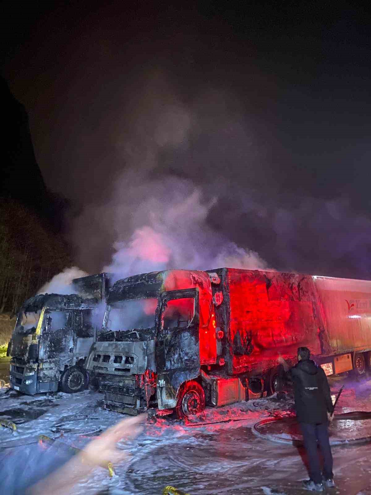 hopada-tir-parkinda-yangin-2-tir-kullanilamaz-hale-geldi