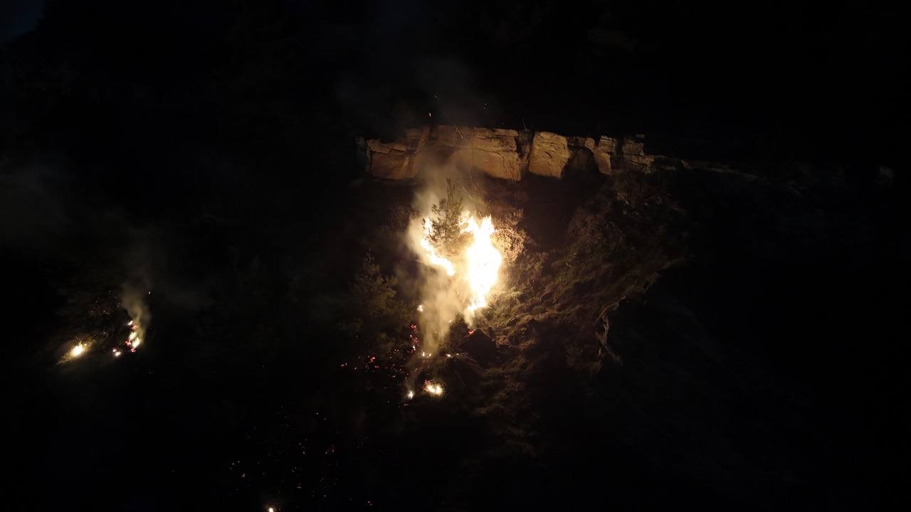 karabukte-ormanlik-alanda-cikan-ortu-yangini-sonduruldu