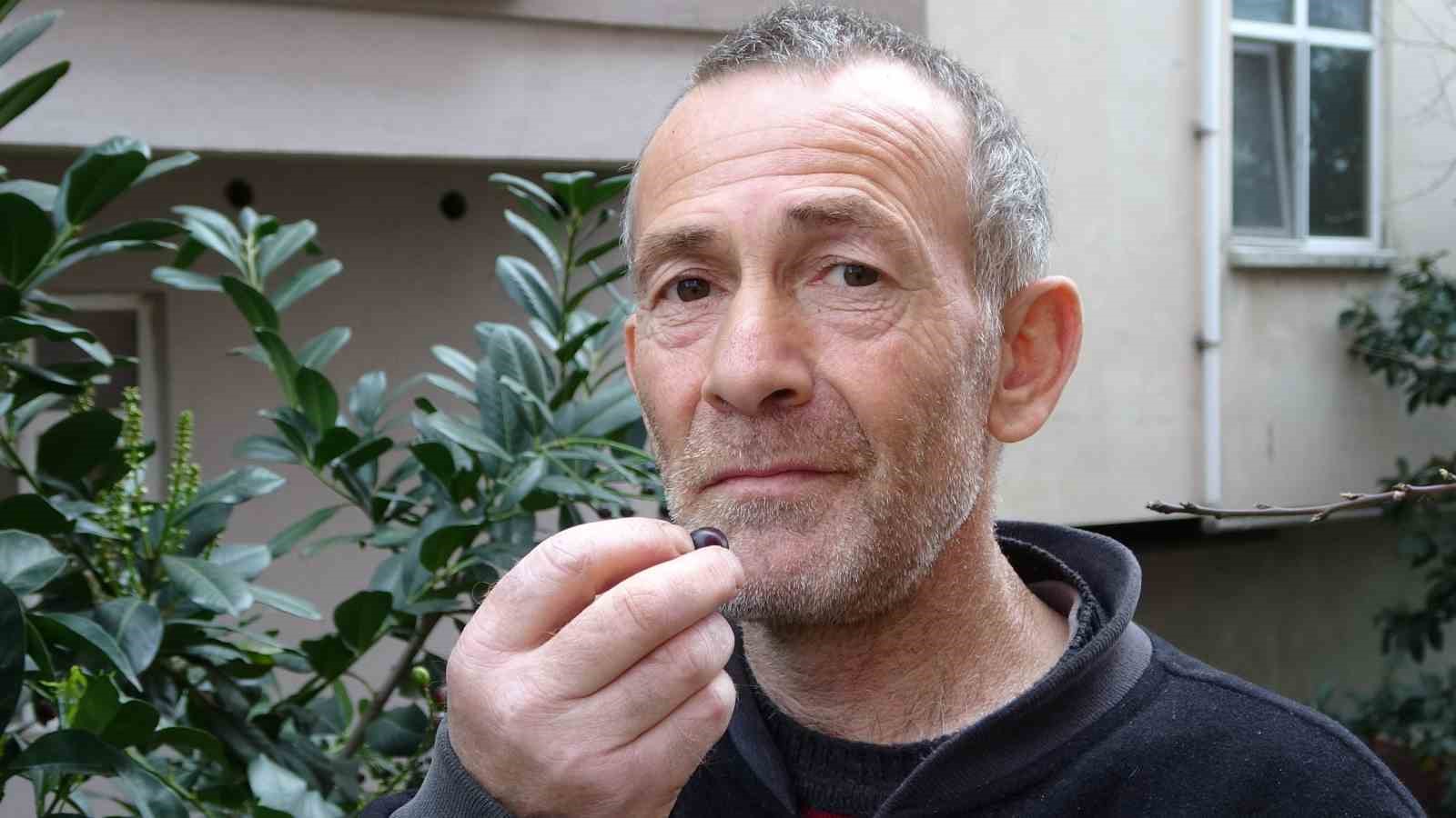 karayemis-agaci-mevsimine-3-ay-kala-meyve-verdi-tadi-cok-guzel