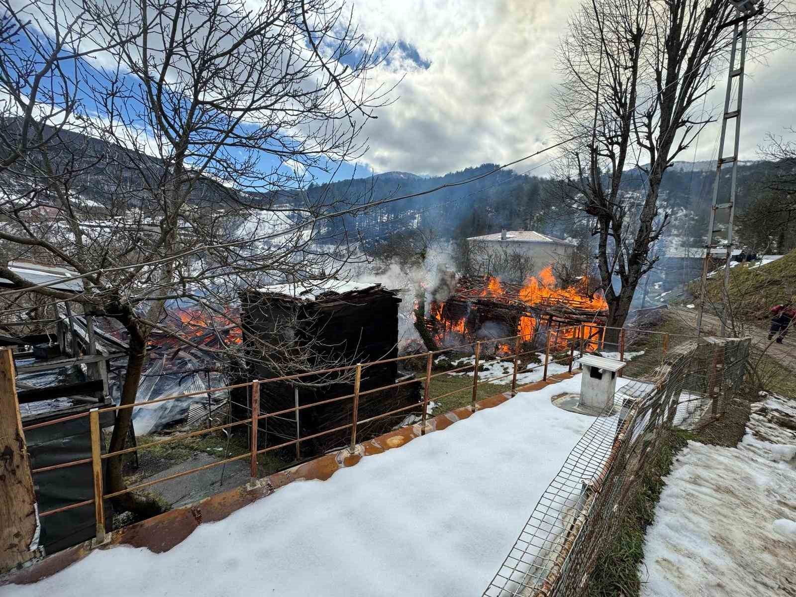 kastamonuda-2-ev-ve-bir-ambar-alev-alev-yandi