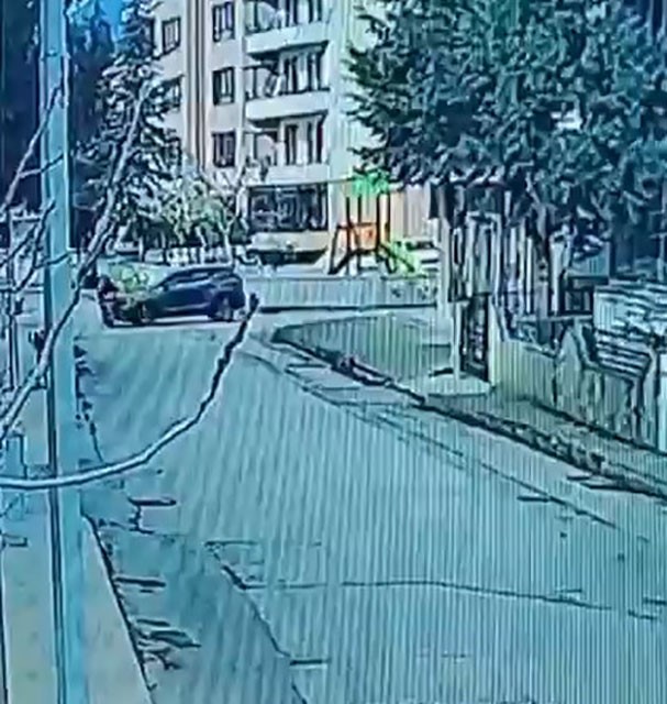 kornaya-basti-ama-otomobile-carpmaktan-kurtulamadi