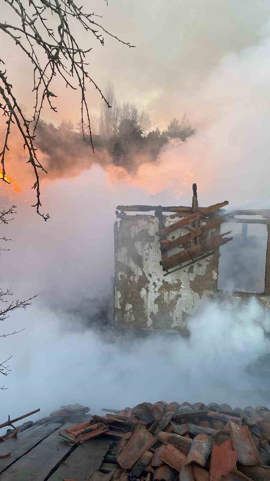 koyde-korkutan-yangin-evler-ve-ahirlar-kule-dondu