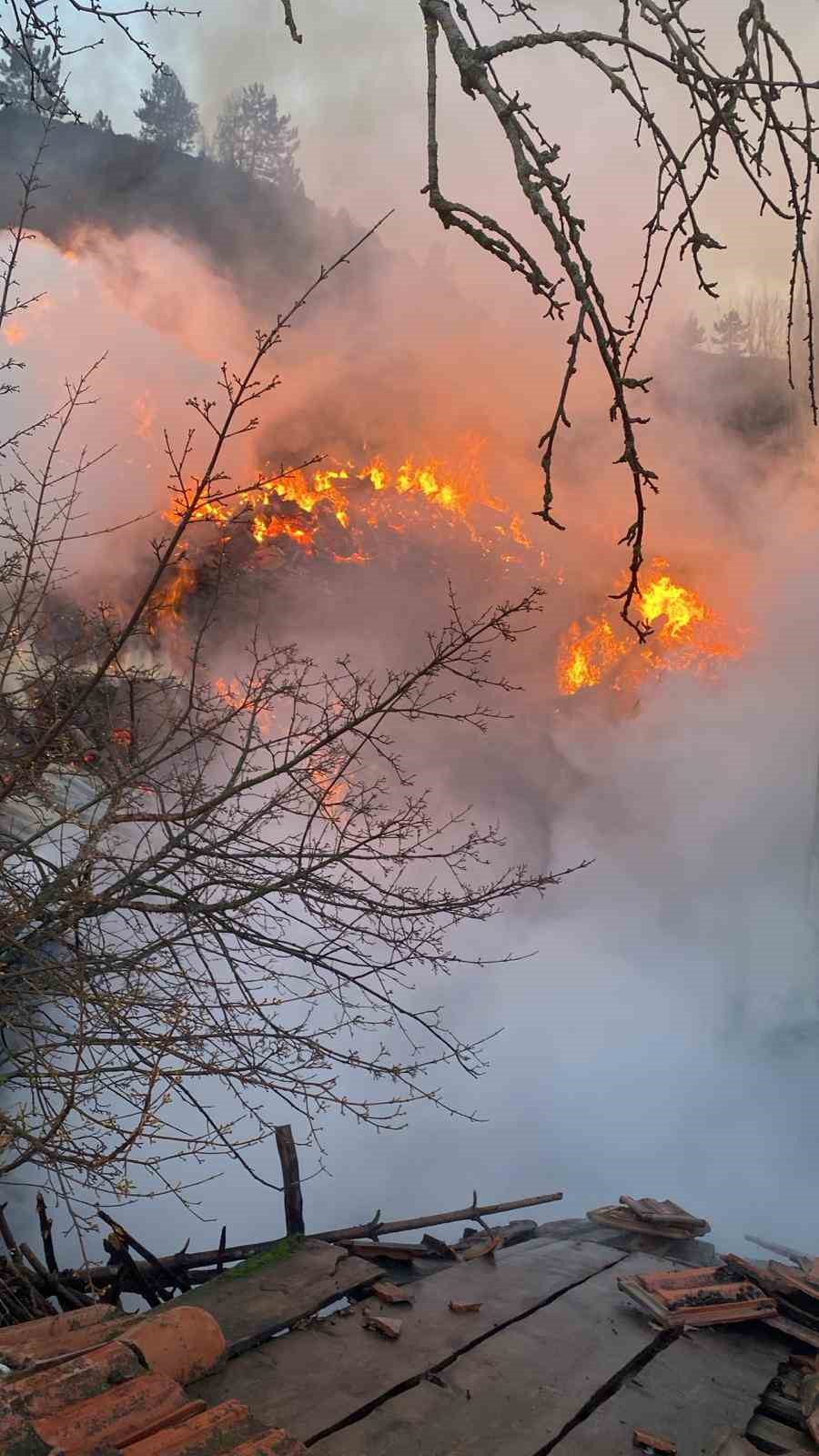 koyde-korkutan-yangin-evler-ve-ahirlar-kule-dondu