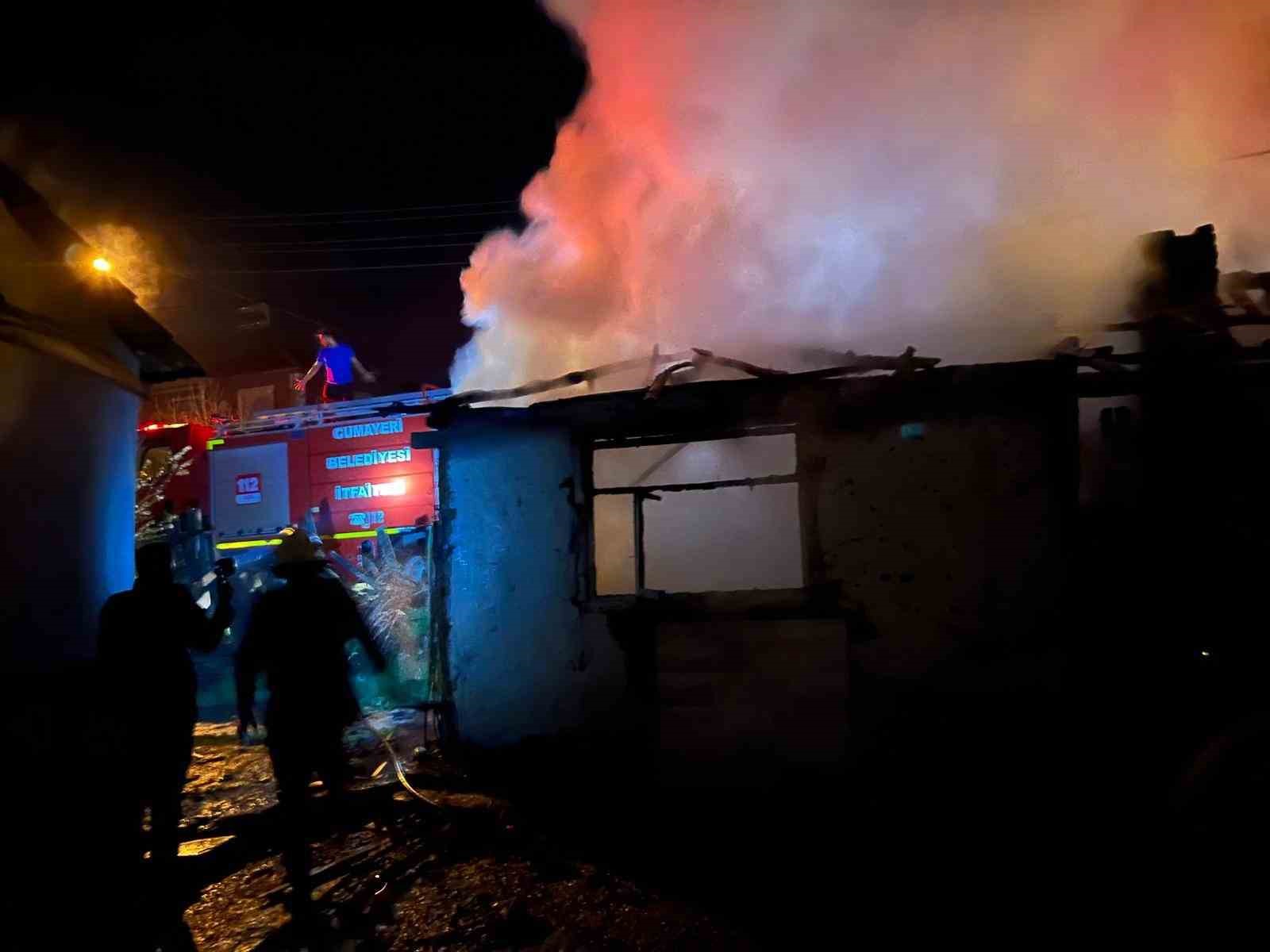 kullanilmayan-ev-alev-alev-yandi