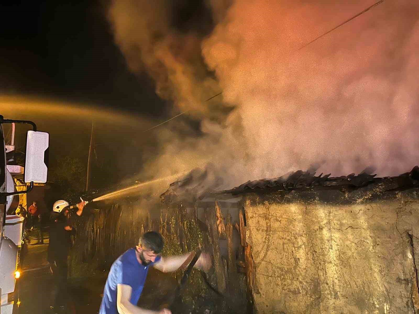 kullanilmayan-ev-alev-alev-yandi