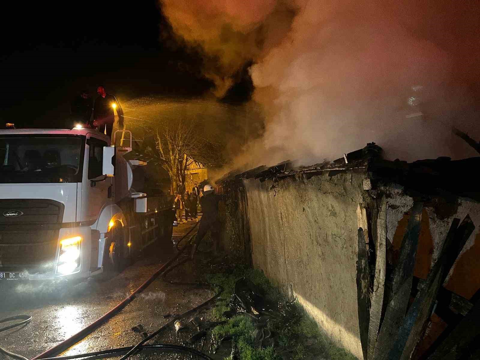 kullanilmayan-ev-alev-alev-yandi