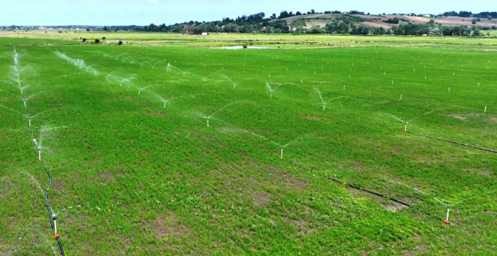 samsunda-bozulan-tarim-arazileri-cezasiz-kalmadi-48-islem-uygulandi