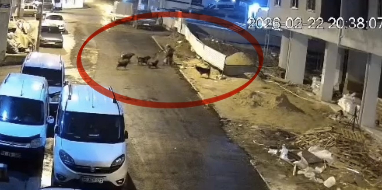 sokak-kopeklerinin-dehseti-kamerada-teravih-donusu-yasli-kadina-saldirdilar