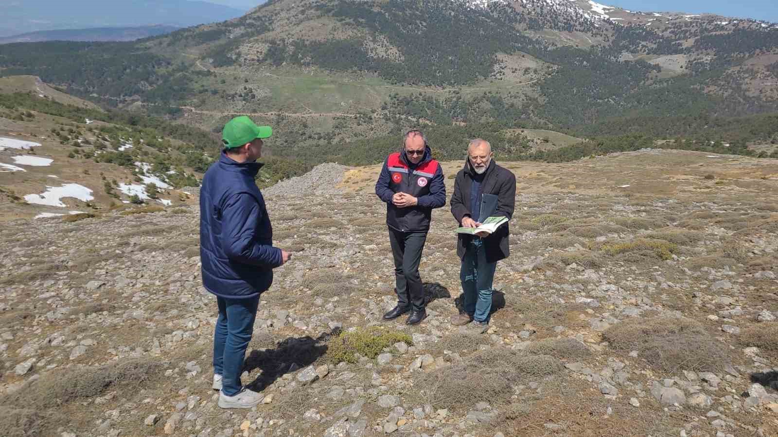 amasyanin-mera-ve-yaylalarinda-otlatma-kapasitesi-incelemesi