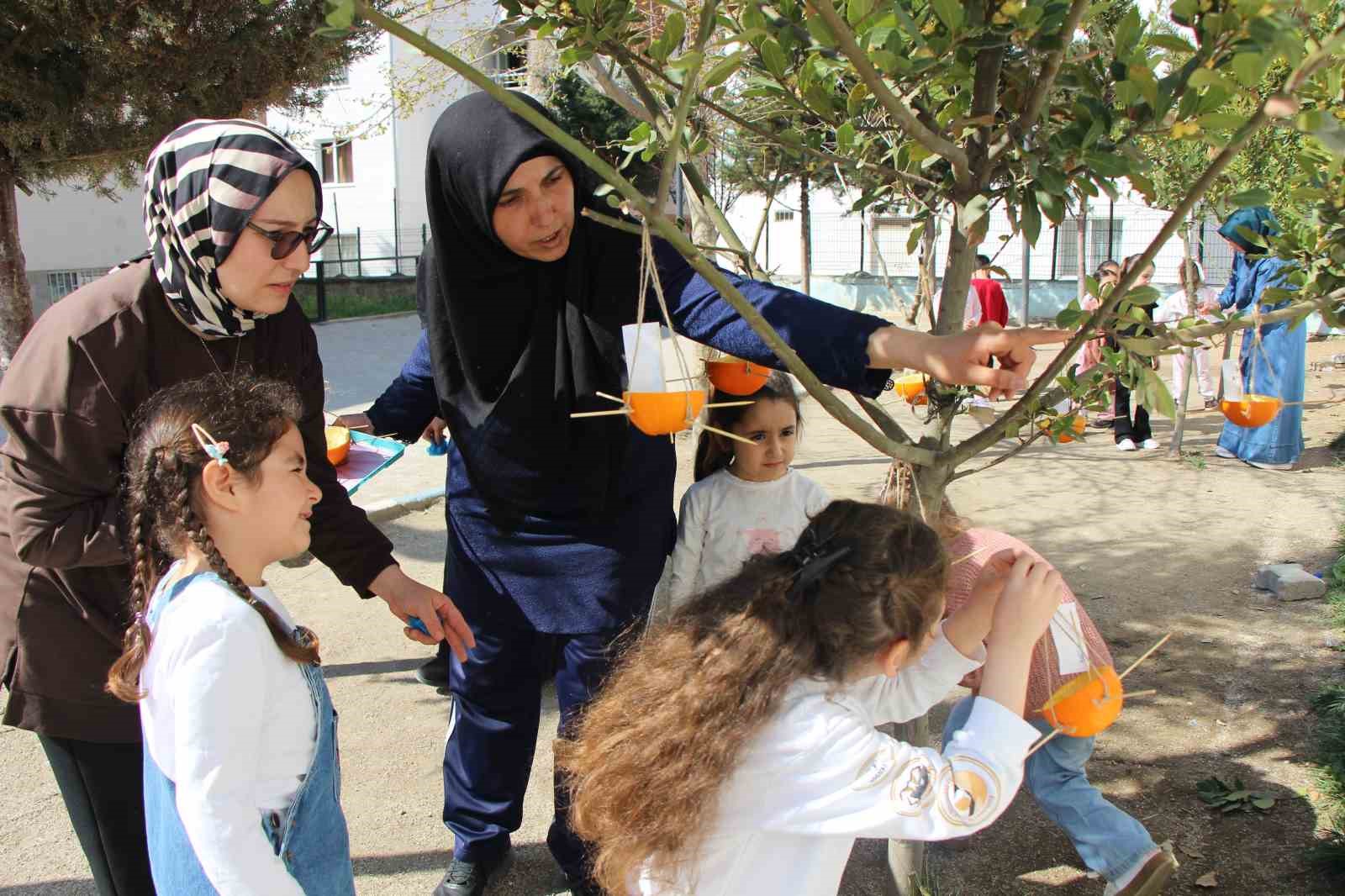 ana-sinifinda-portakallar-kuslar-icin-yemlik-ve-yuvaya-donustu