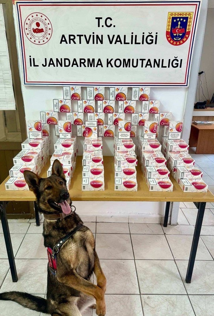 artvinde-kacakcilikla-mucadelede-9-bin-690-paket-sigara-ele-gecirildi