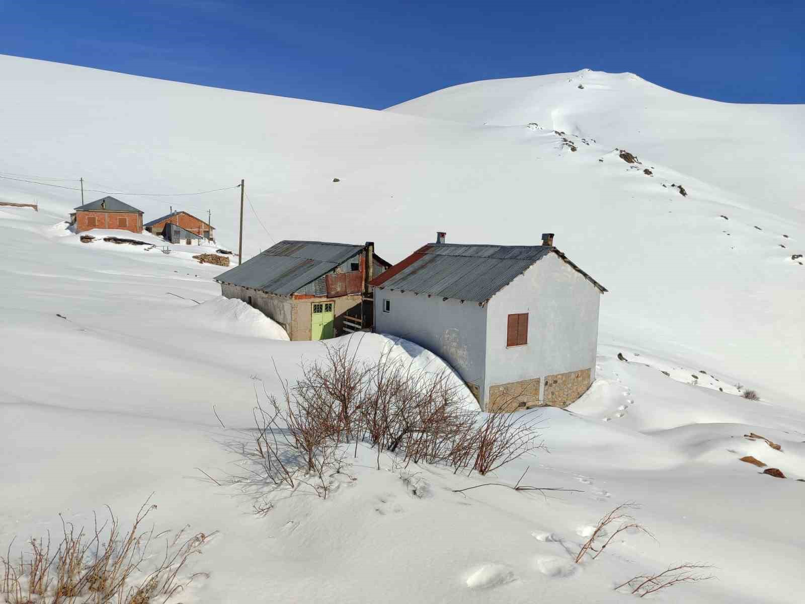 bayburtta-ayi-saldirilarinin-yasandigi-yaylada-ulasim-sorunu-suruyor