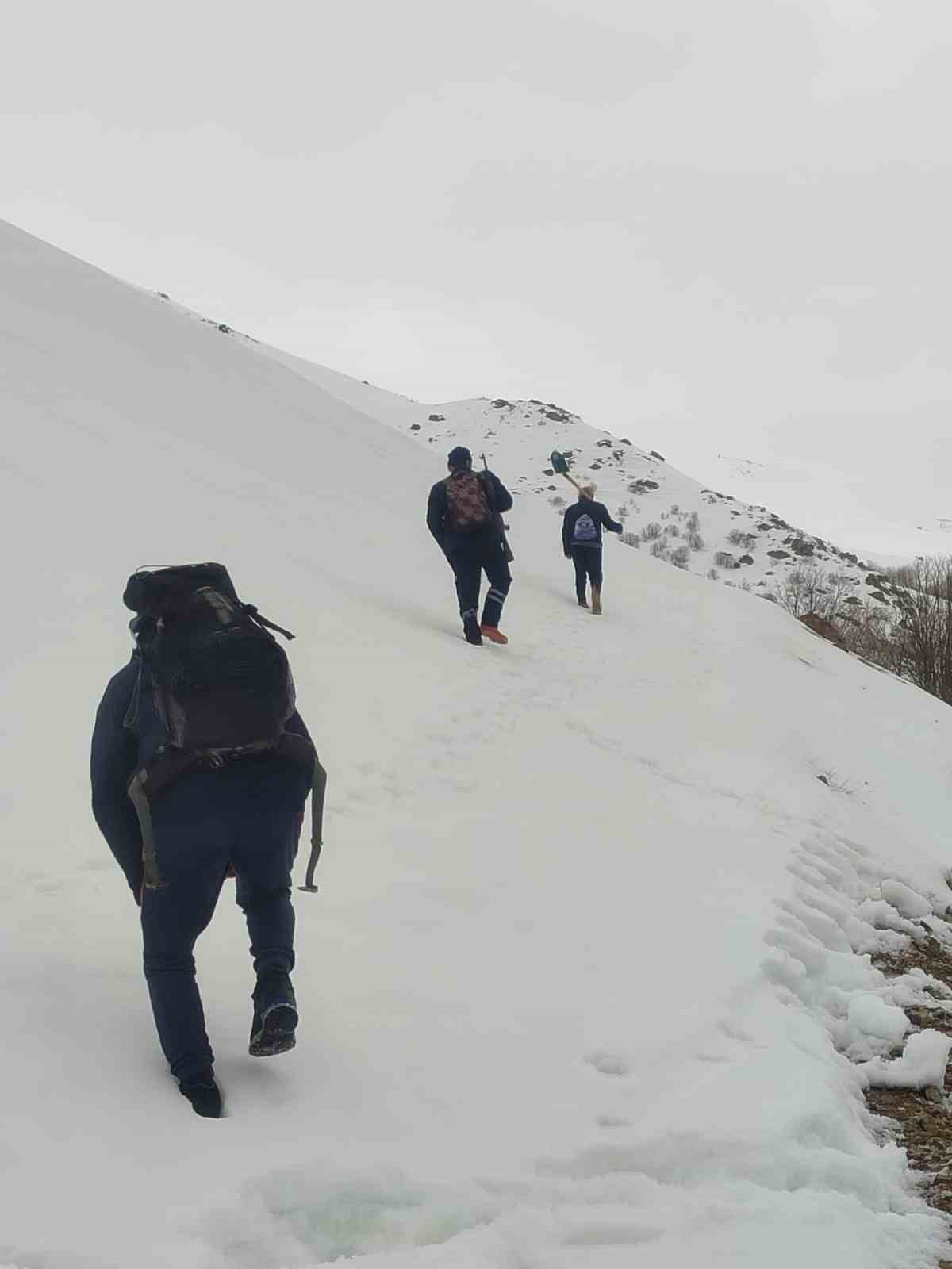 bayburtta-ayi-saldirilarinin-yasandigi-yaylada-ulasim-sorunu-suruyor