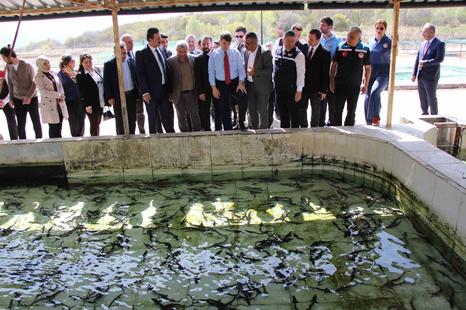 bu-baligin-havyari-siyah-inci-karadenize-8-bin-adet-dagitilacak-ciple-takip-edilecek