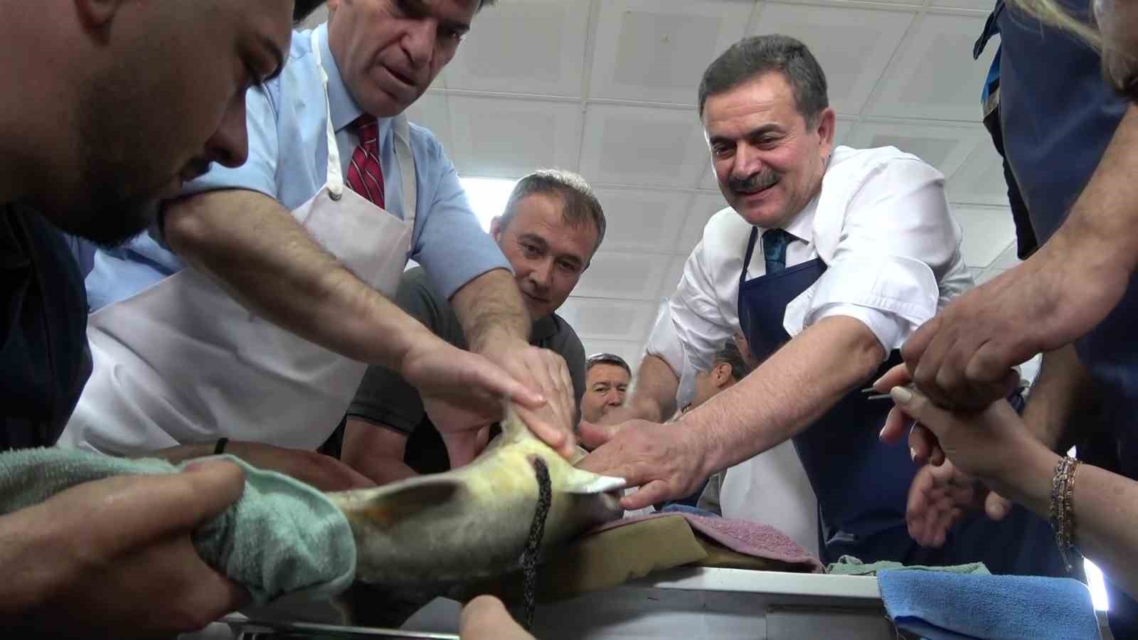 bu-baligin-havyari-siyah-inci-karadenize-8-bin-adet-dagitilacak-ciple-takip-edilecek