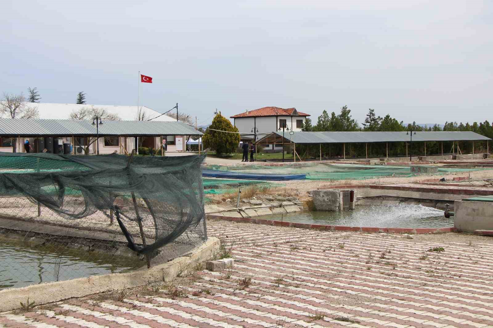 bu-baligin-havyari-siyah-inci-karadenize-8-bin-adet-dagitilacak-ciple-takip-edilecek
