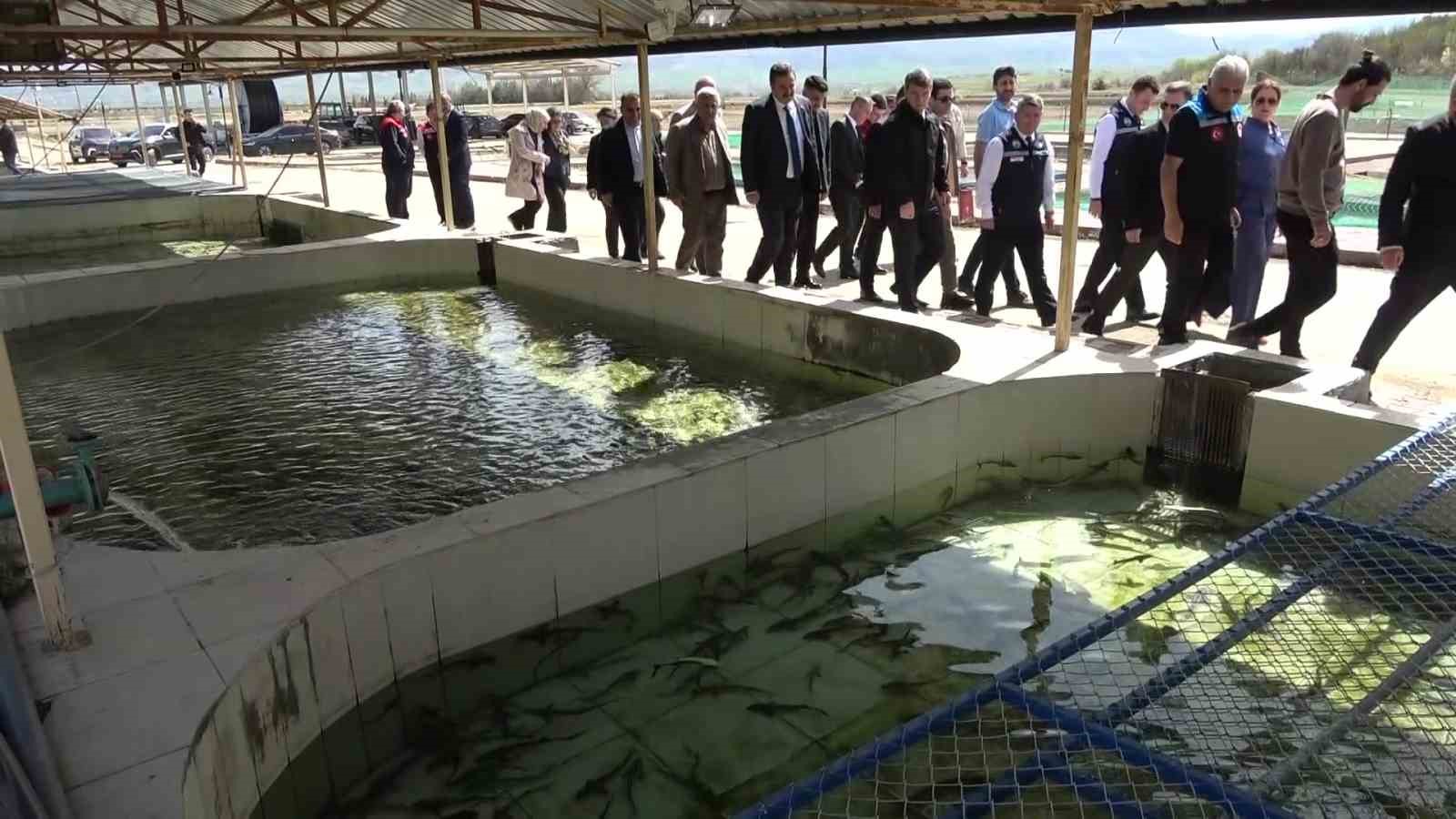 bu-baligin-havyari-siyah-inci-karadenize-8-bin-adet-dagitilacak-ciple-takip-edilecek