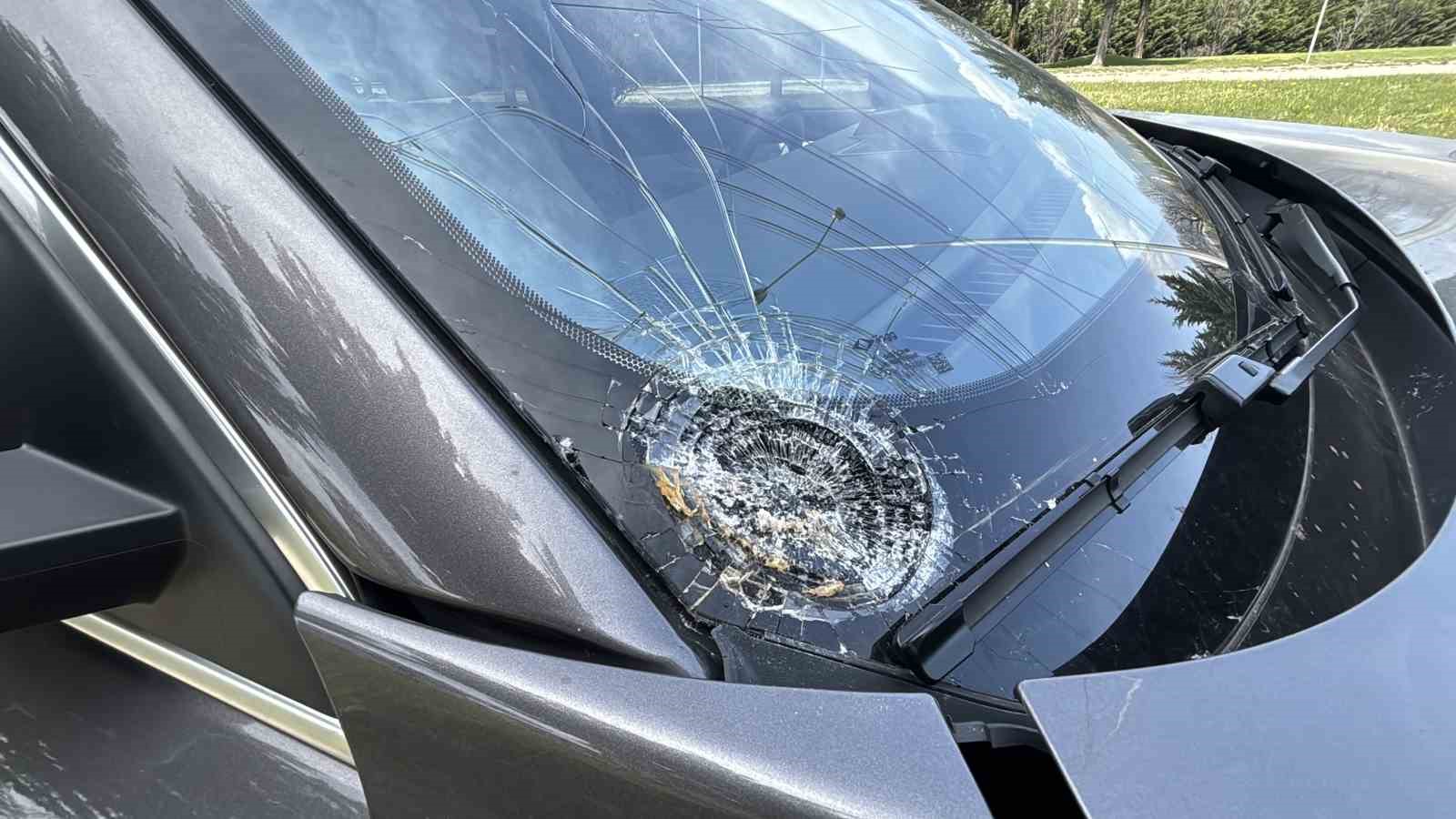 d-100de-karsiya-gecmek-isterken-cipin-carptigi-yasli-adam-agir-yaralandi