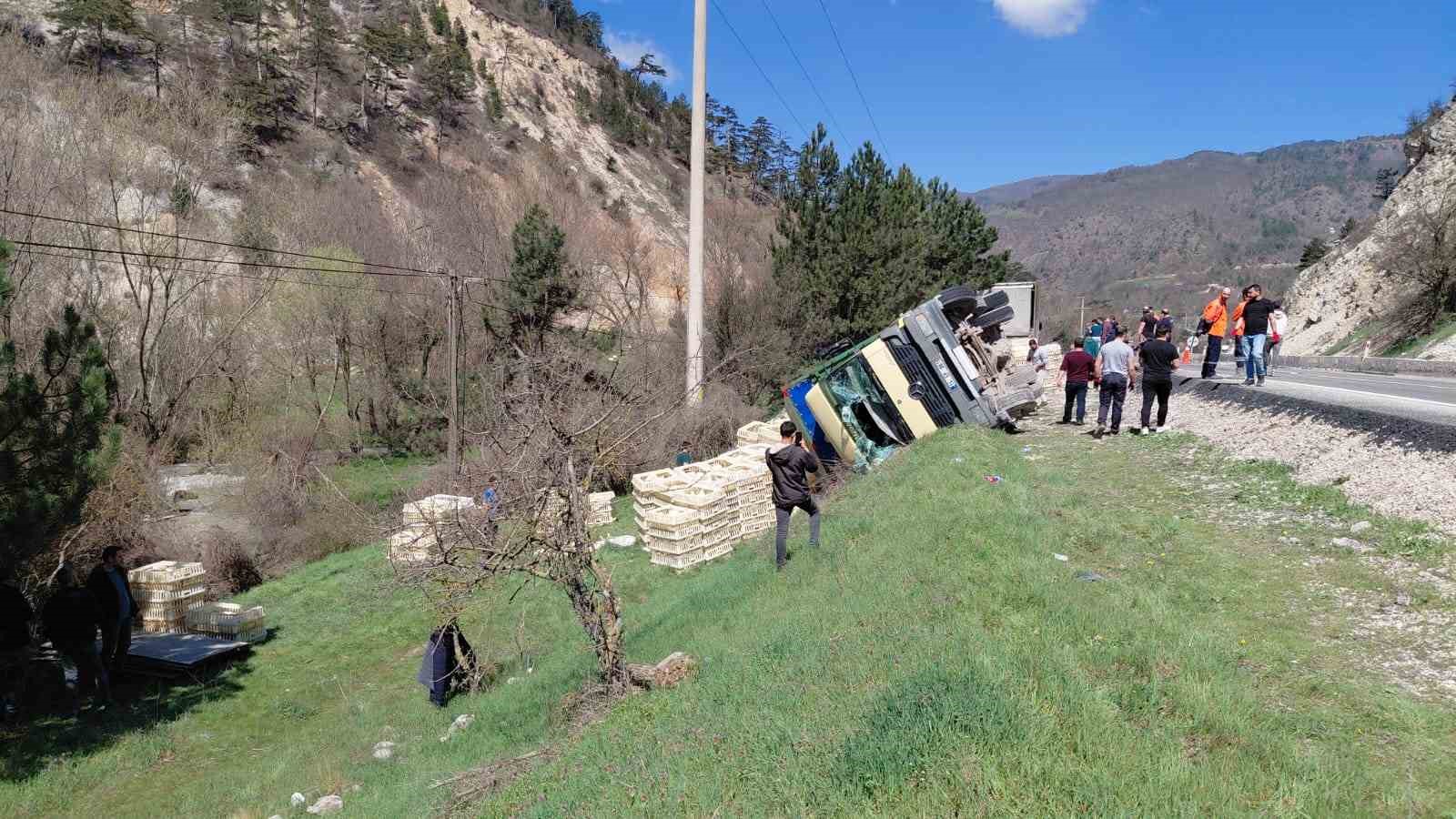devrilen-kamyondan-surucu-kurtuldu-onlarca-tavuk-telef-oldu