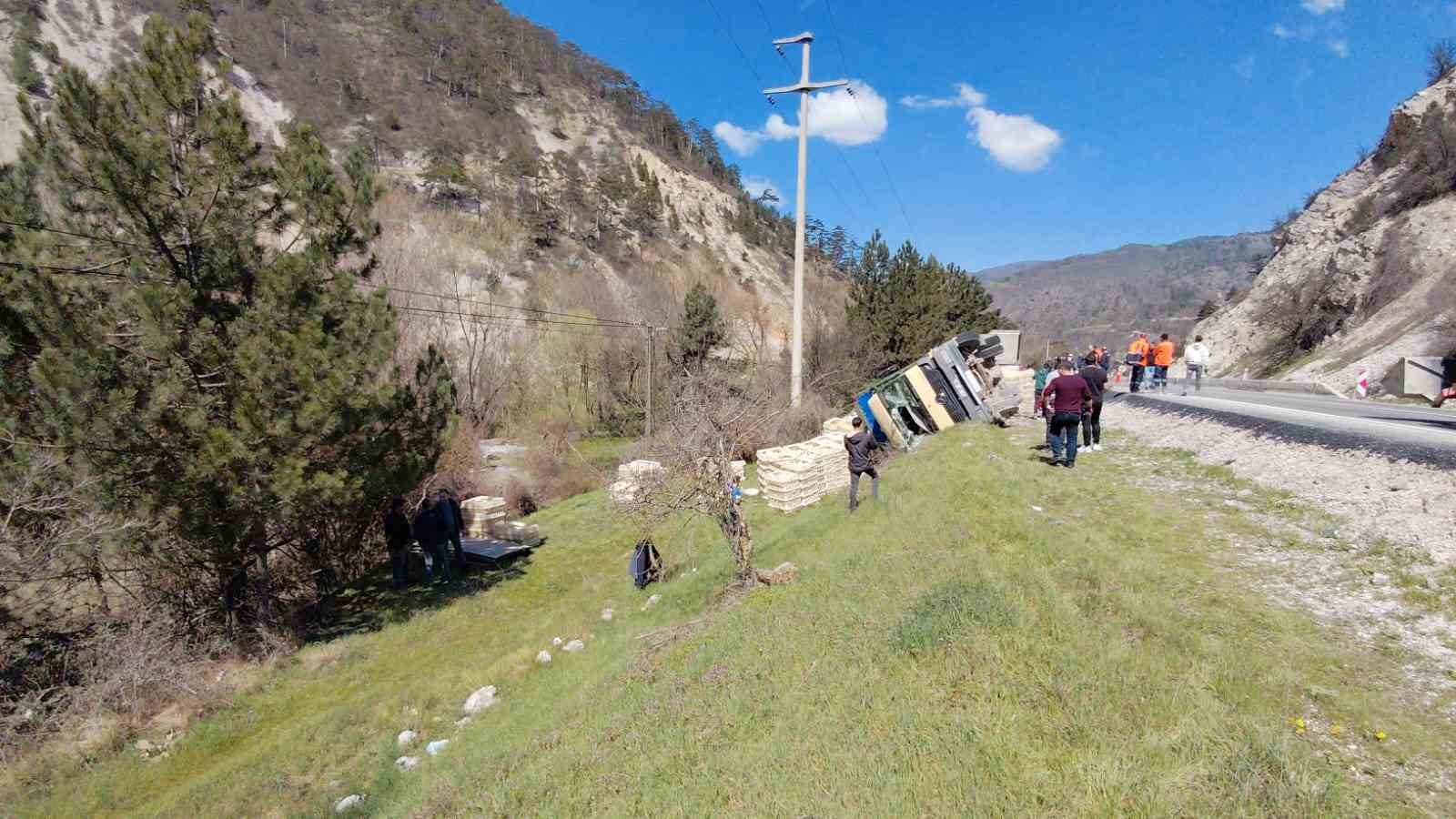 devrilen-kamyondan-surucu-kurtuldu-onlarca-tavuk-telef-oldu