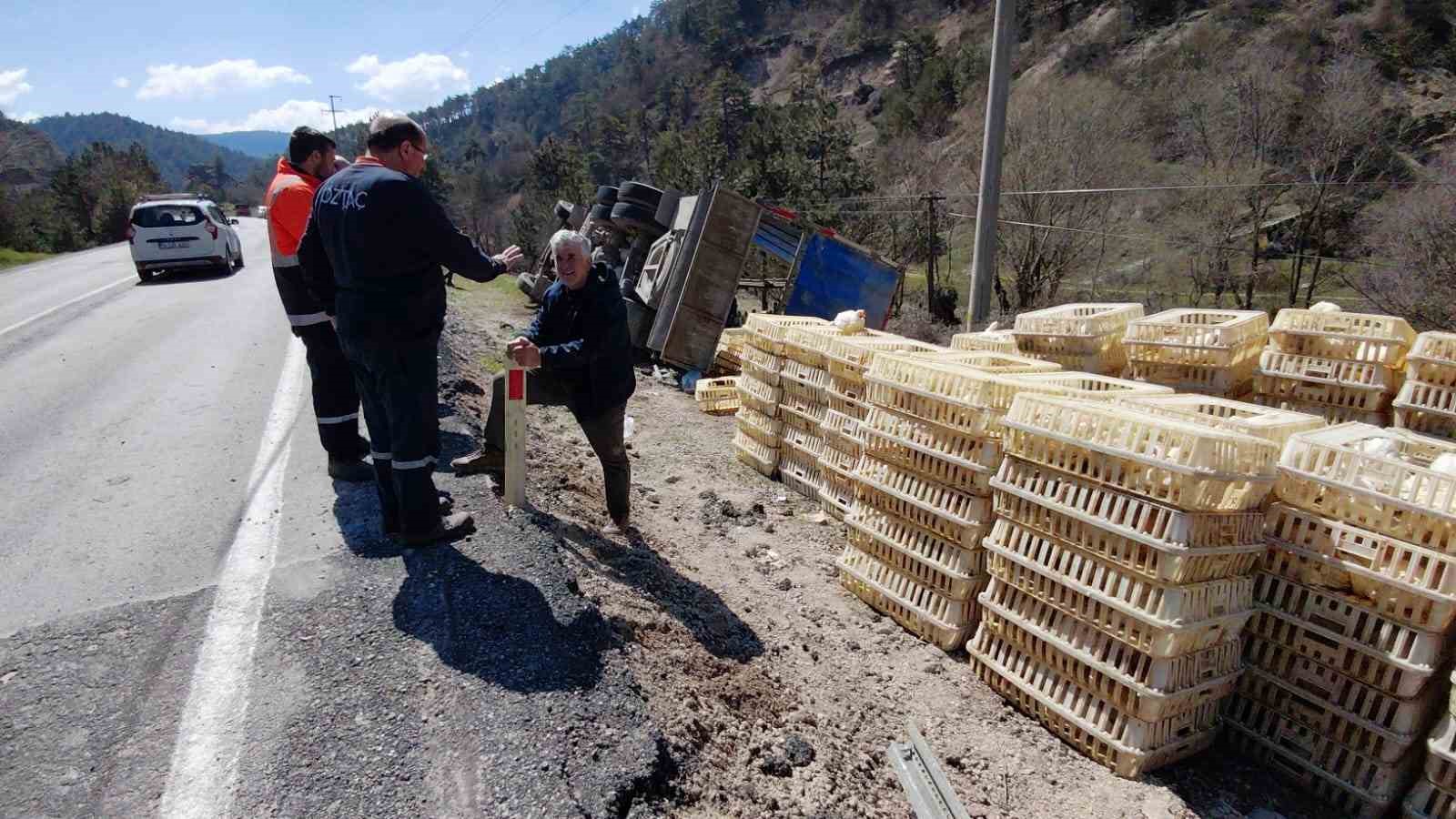 devrilen-kamyondan-surucu-kurtuldu-onlarca-tavuk-telef-oldu