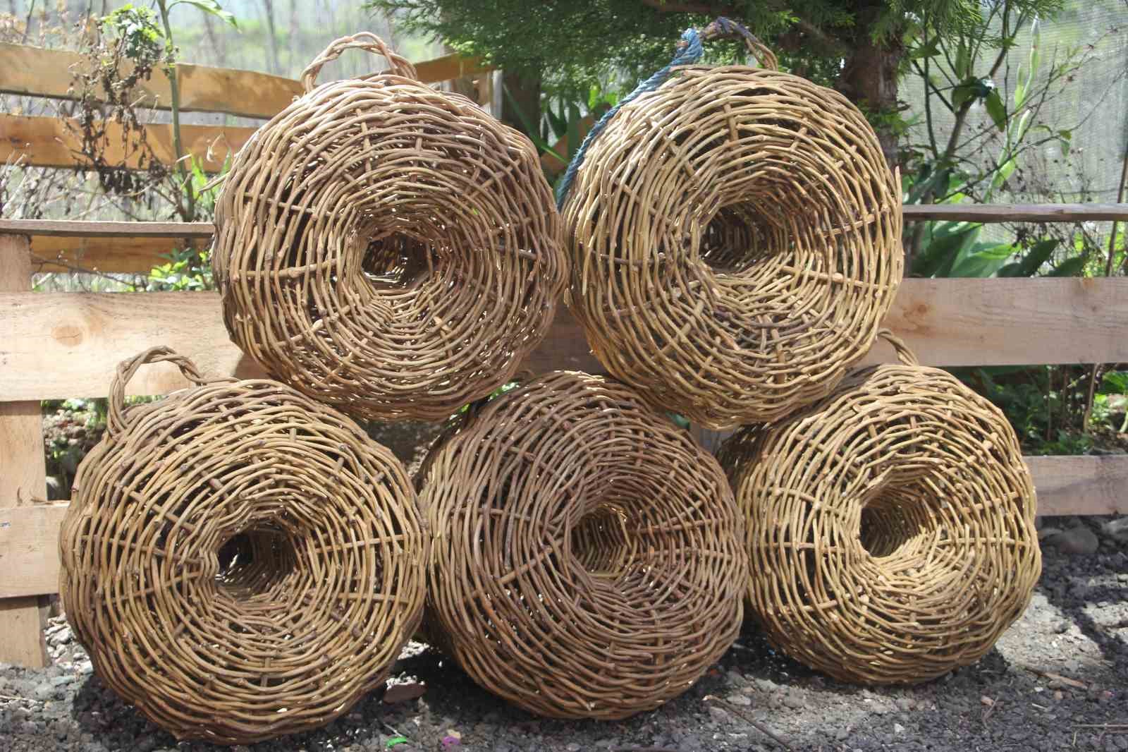 dogadan-topluyor-turkulerle-oruyor-45-yillik-usta-dikenli-sarmasiktan-balik-sepeti-oruyor