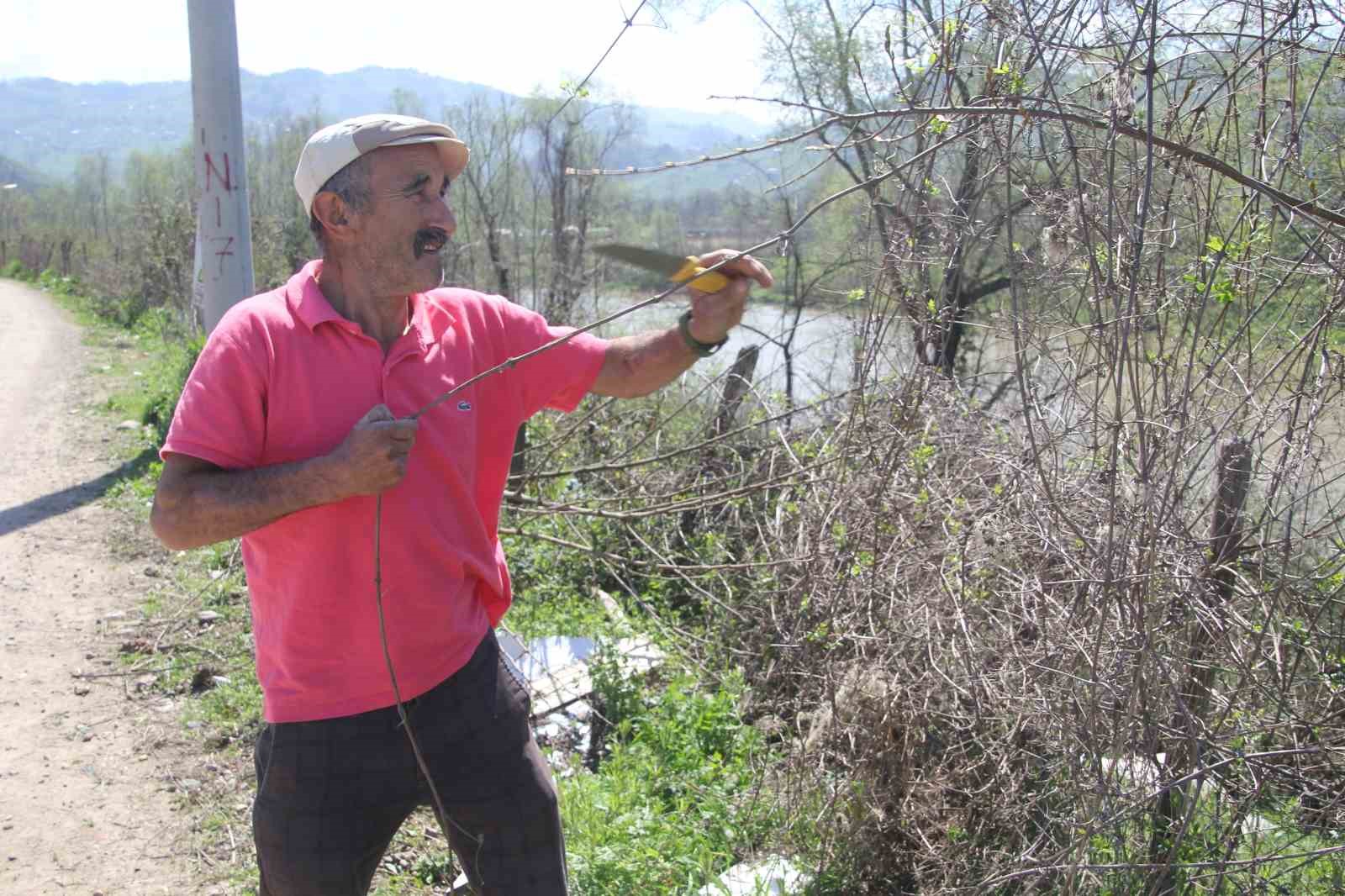 dogadan-topluyor-turkulerle-oruyor-45-yillik-usta-dikenli-sarmasiktan-balik-sepeti-oruyor