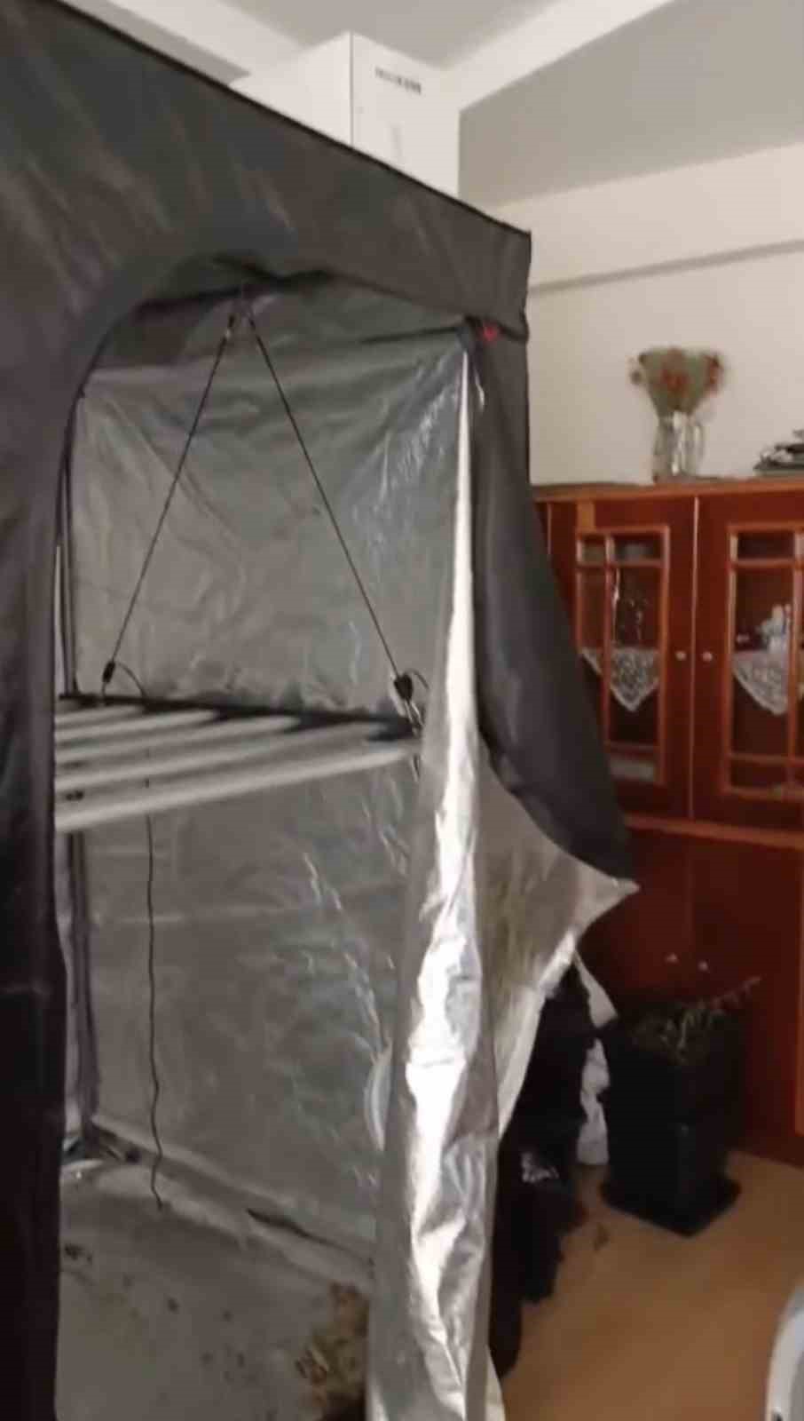 jandarmadan-evde-kenevir-operasyonu