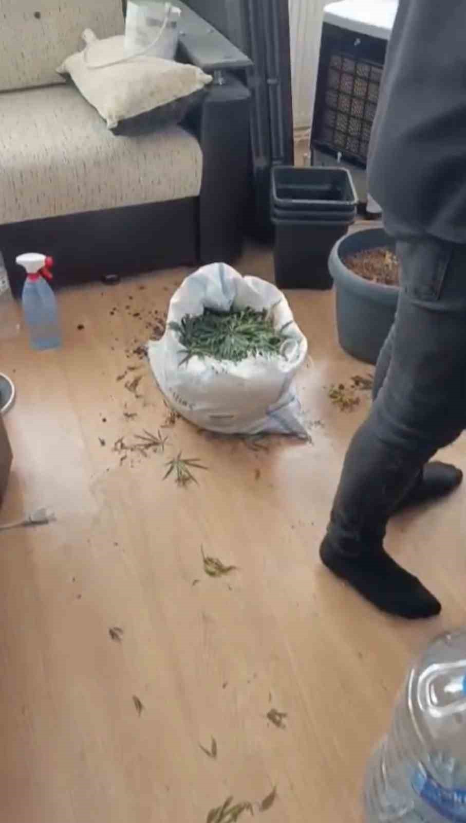 jandarmadan-evde-kenevir-operasyonu