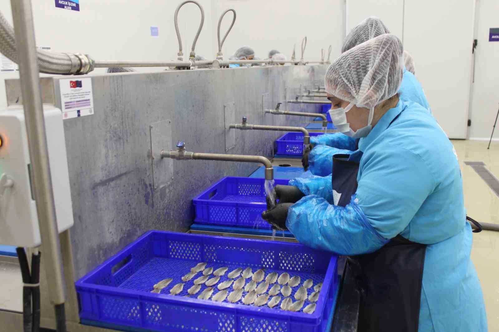 kadin-emegiyle-yukselen-deger-sinop-lakerdasi-markalasma-yolunda