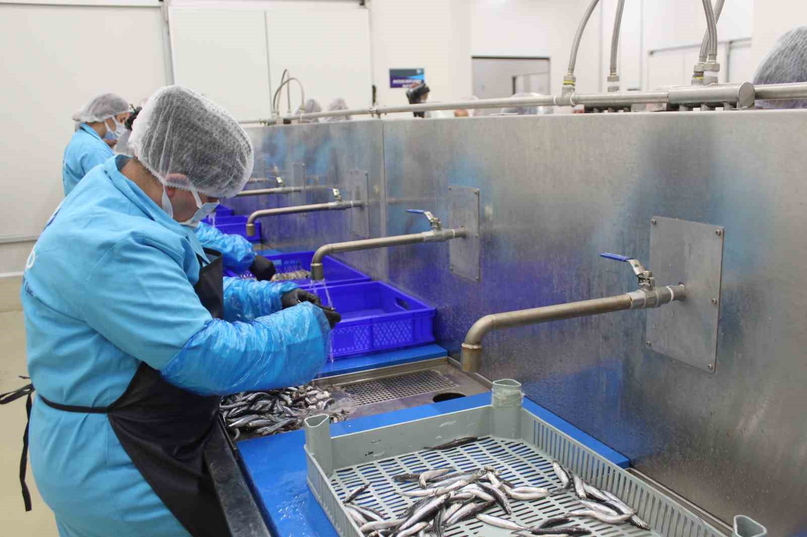 kadin-emegiyle-yukselen-deger-sinop-lakerdasi-markalasma-yolunda