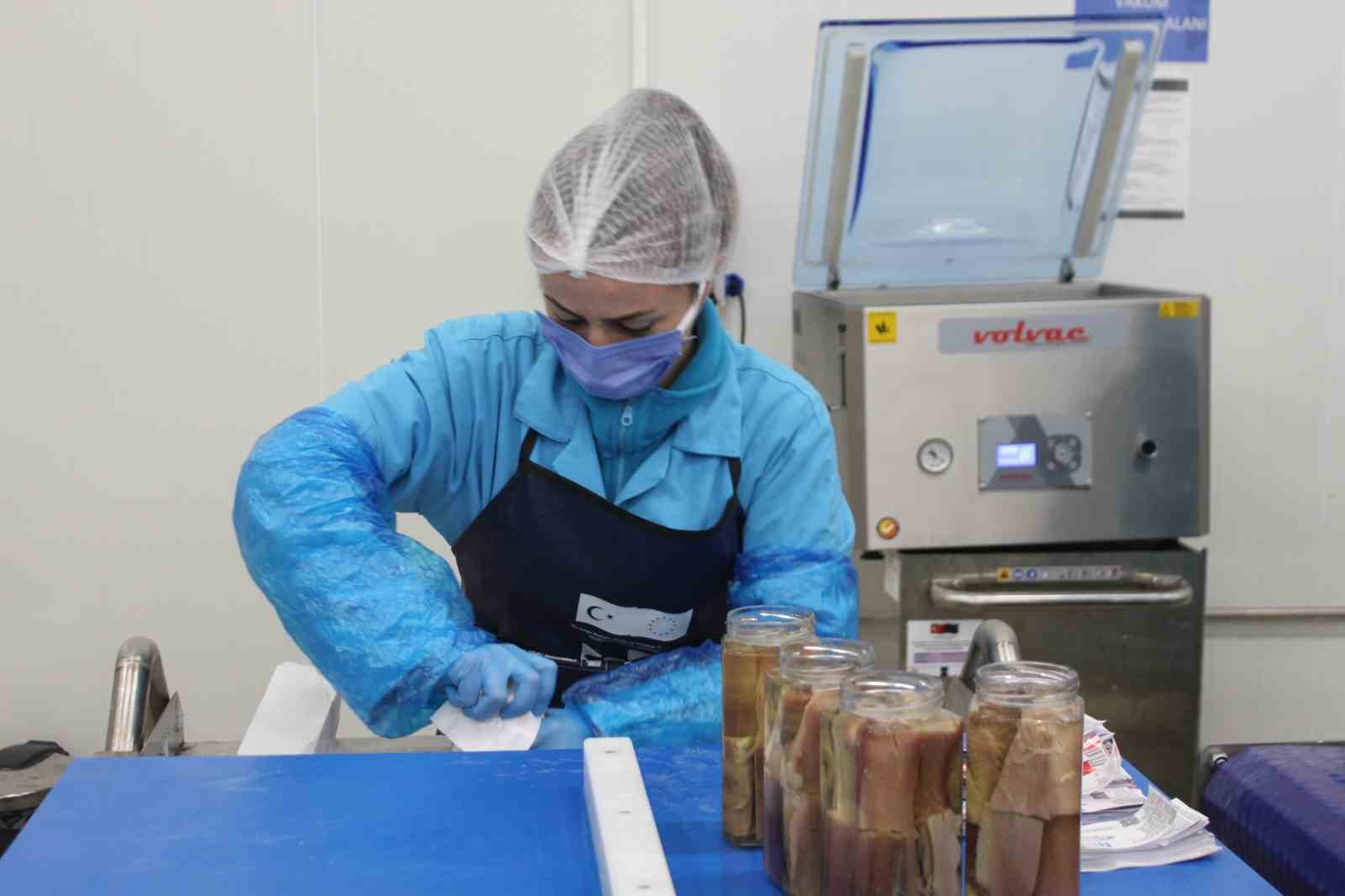 kadin-emegiyle-yukselen-deger-sinop-lakerdasi-markalasma-yolunda