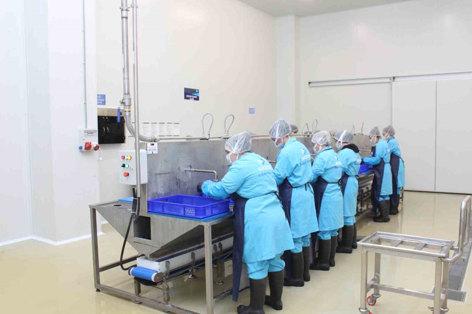 kadin-emegiyle-yukselen-deger-sinop-lakerdasi-markalasma-yolunda