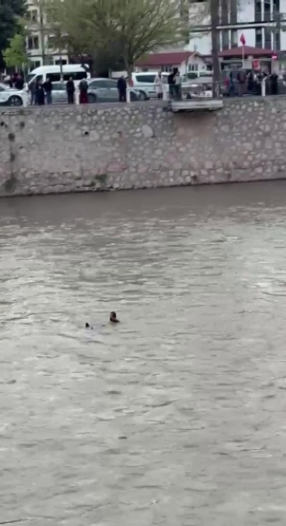 kopruden-nehre-atlayan-sahsi-ekipler-kurtardi-o-anlar-kamerada