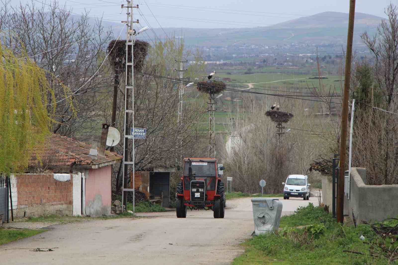 leyleklere-saygili-koy-butun-elektrik-direkleri-yuva-oldu-leylekler-icin-tedbir-alindi