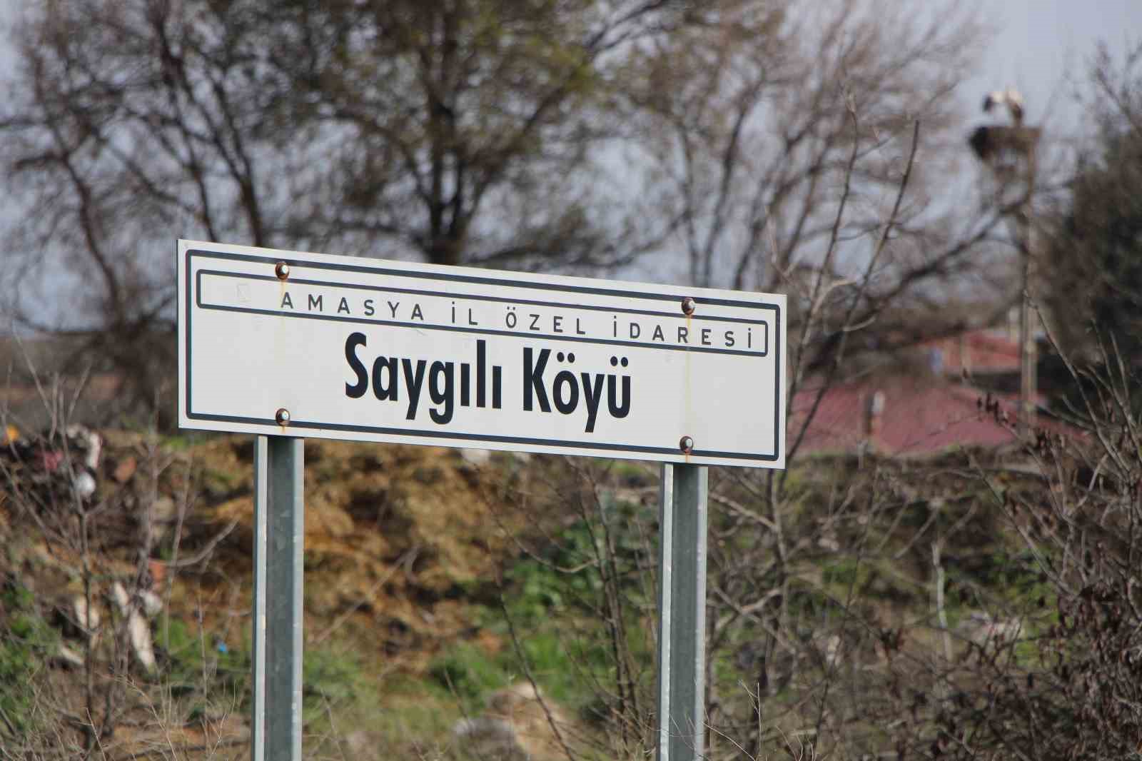 leyleklere-saygili-koy-butun-elektrik-direkleri-yuva-oldu-leylekler-icin-tedbir-alindi
