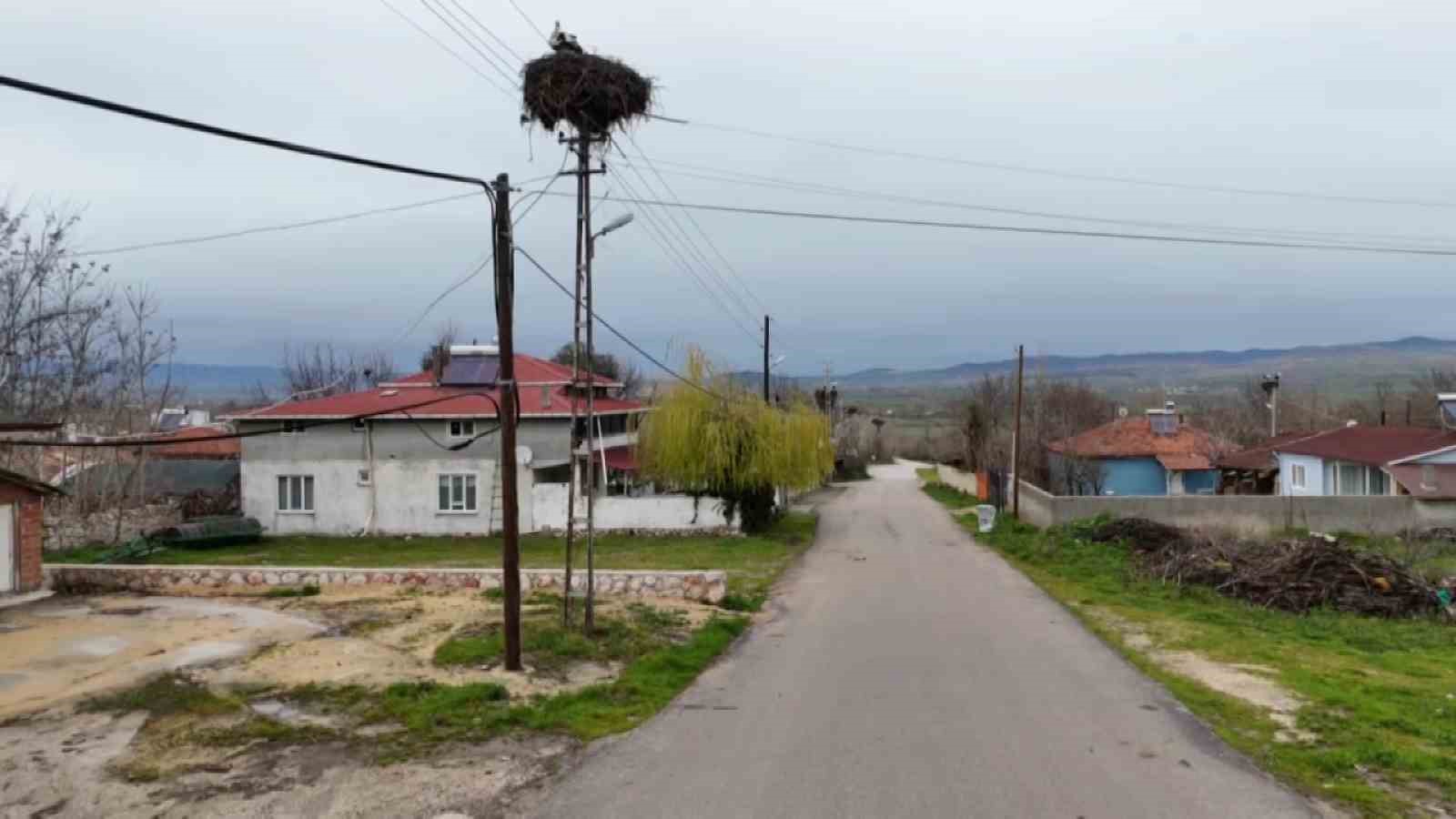 leyleklere-saygili-koy-butun-elektrik-direkleri-yuva-oldu-leylekler-icin-tedbir-alindi