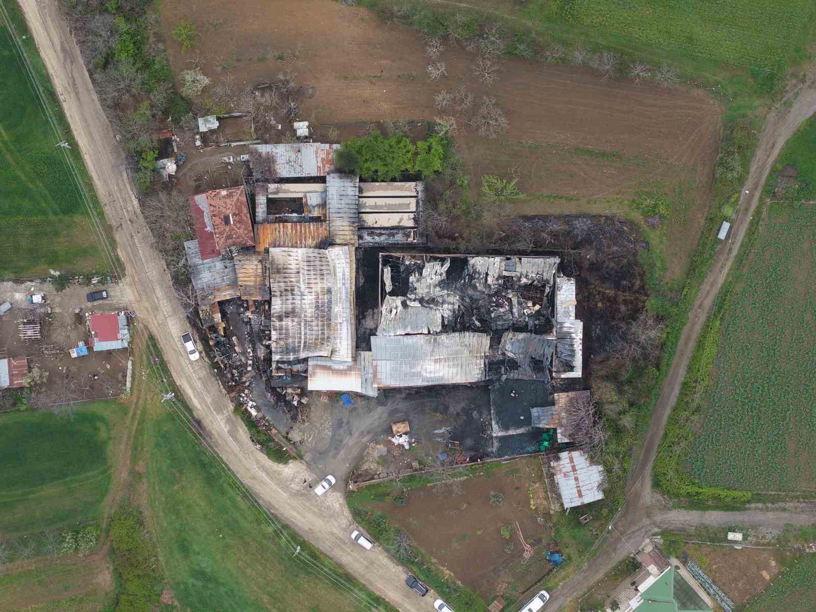 muz deposundaki yangın hasarı 1