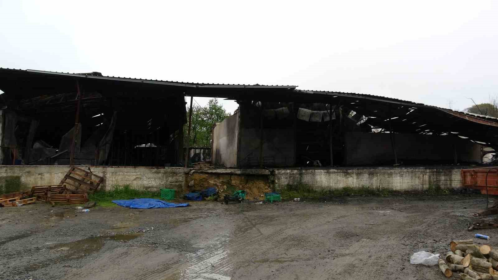 muz deposundaki yangın hasarı 5