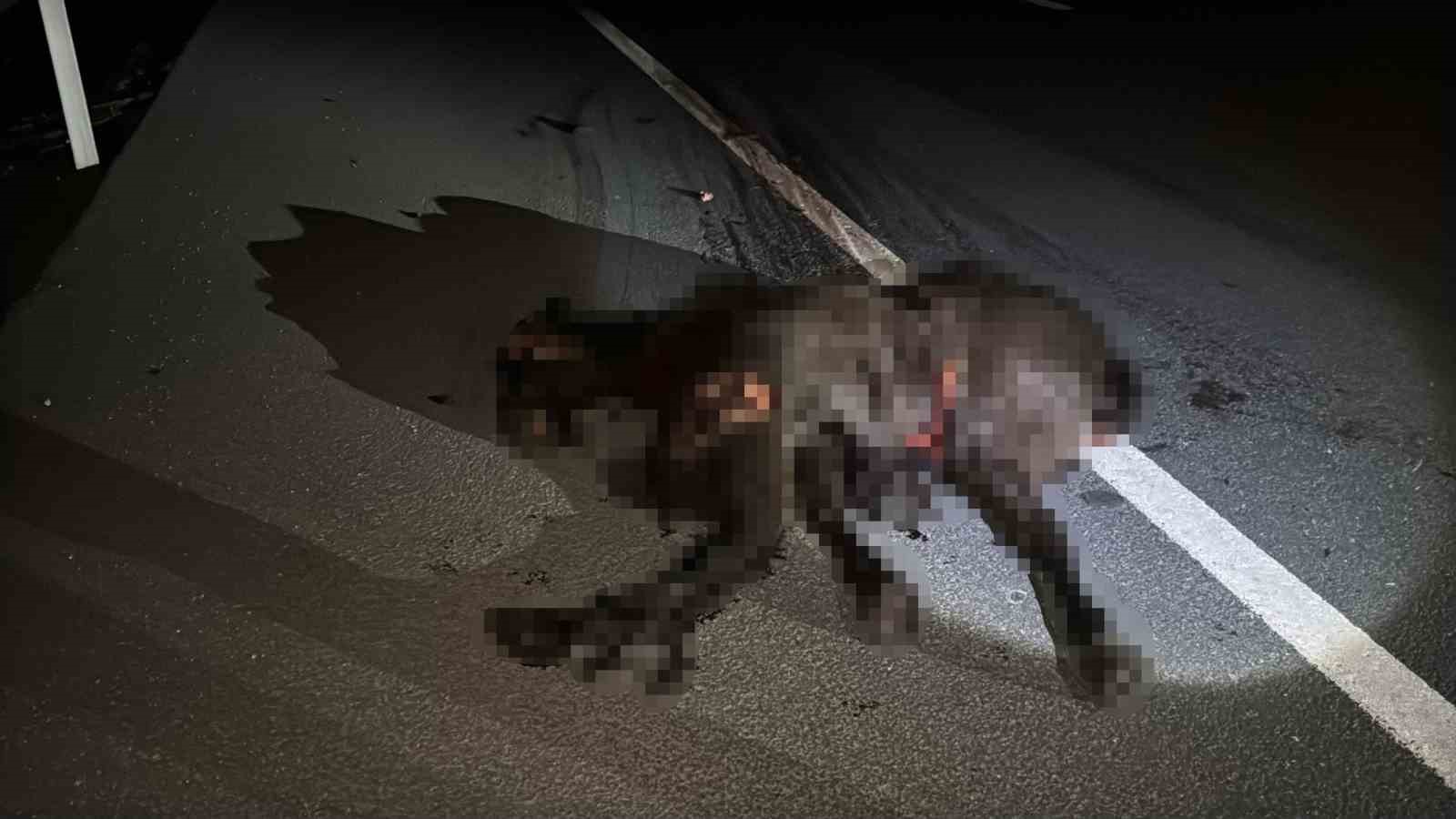 otomobil-kara-yoluna-cikan-ata-carpti-3-yarali