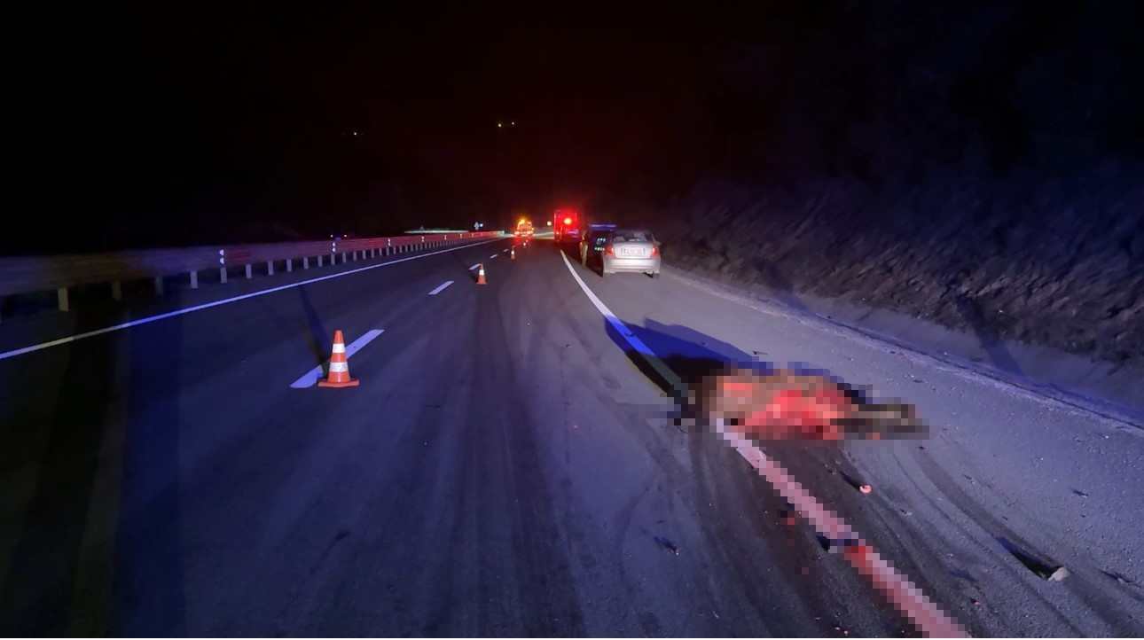 otomobil-kara-yoluna-cikan-ata-carpti-3-yarali