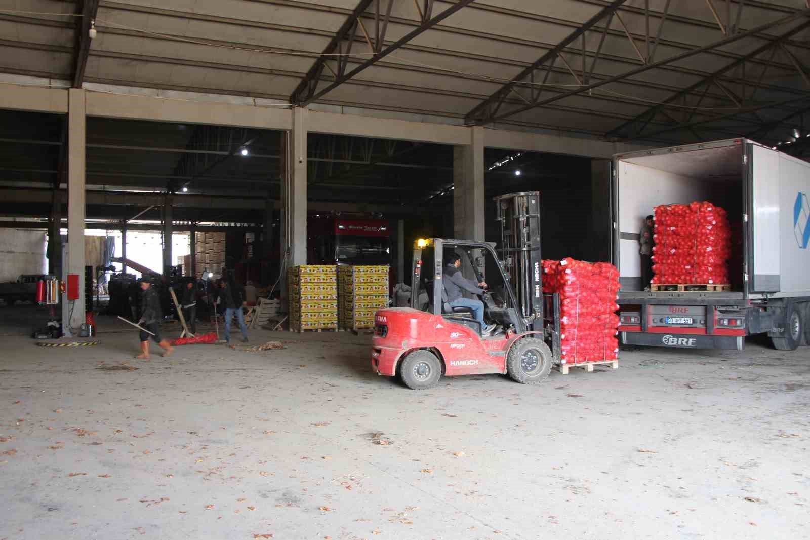 pazarin-en-ucuzu-sogan-amasyadan-avrupaya-gonderiliyor