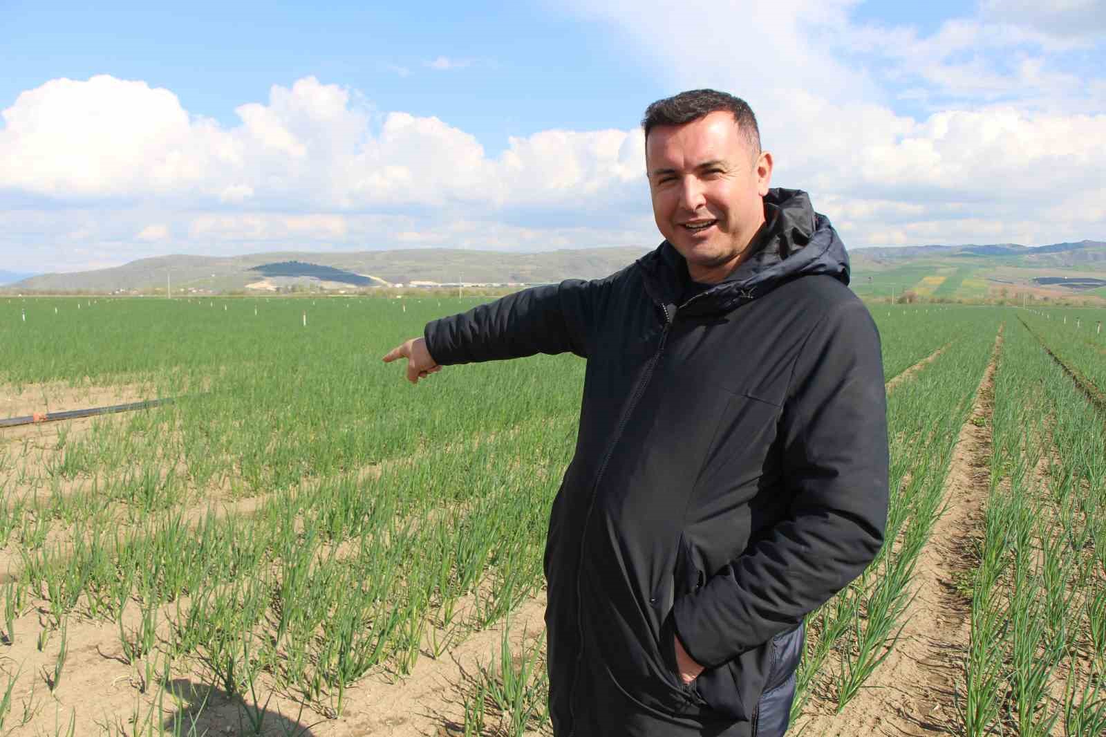 pazarin-en-ucuzu-sogan-amasyadan-avrupaya-gonderiliyor