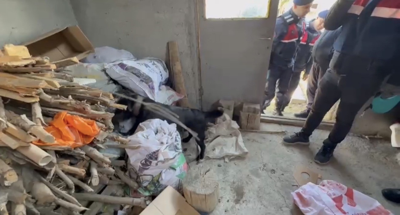 Tokat’ta jandarmadan uyuşturucu operasyonu