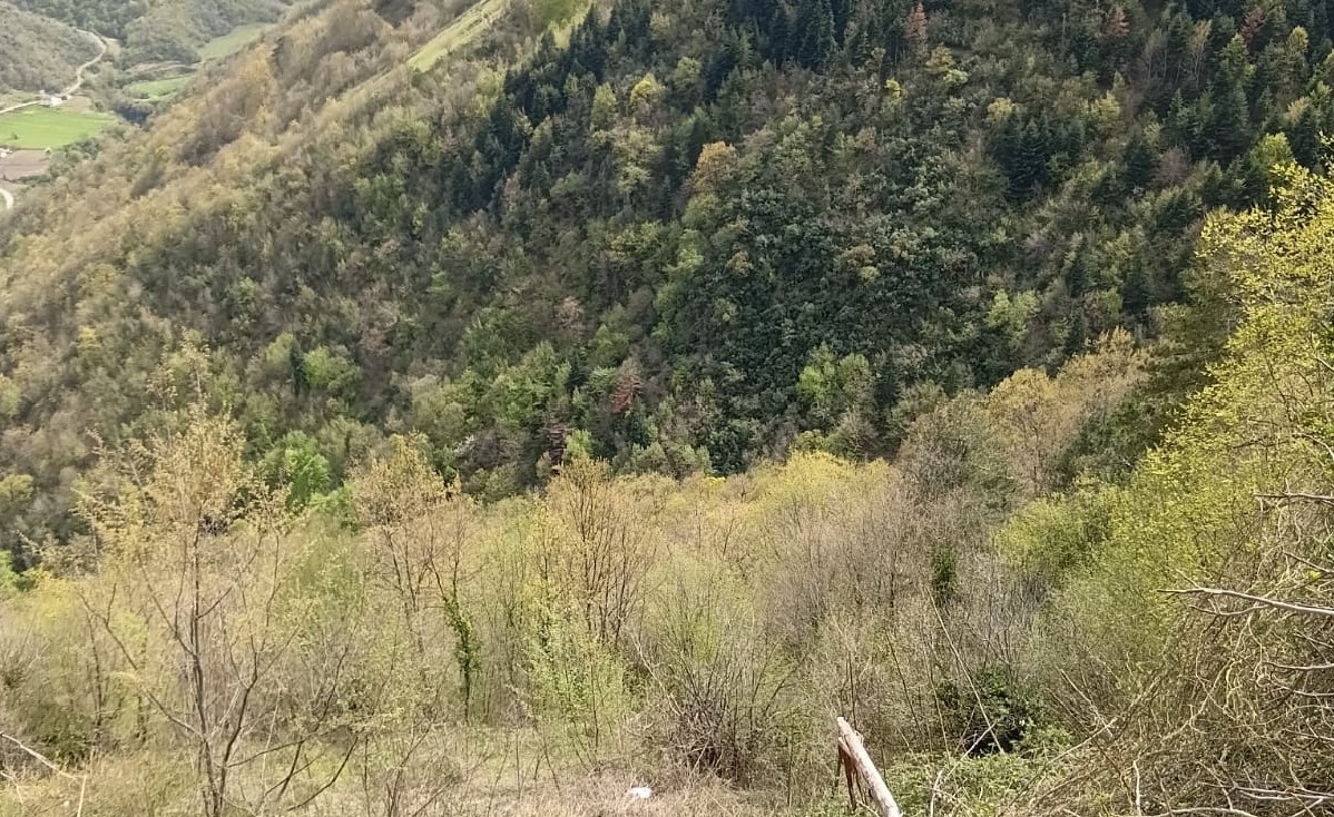 yakakentte-traktor-devrildi-surucu-yaralandi